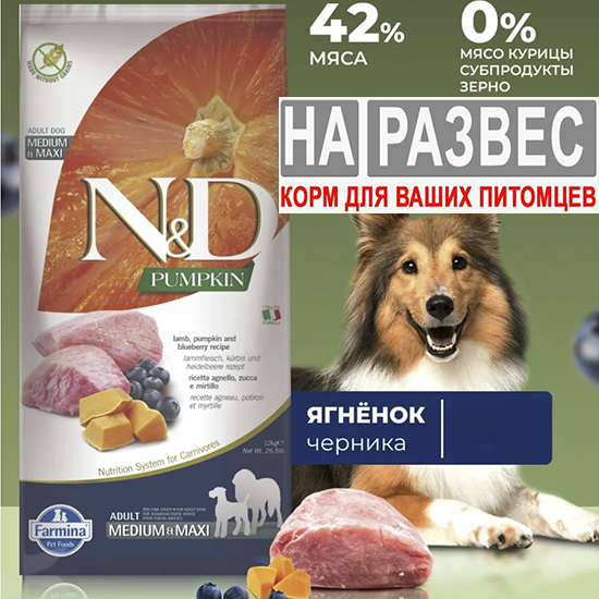 Корм Фармина РАЗВЕС БЕЗЗЕРНОВ Медиум и Макси ягненок, тыква, черника  для собак 1 кг