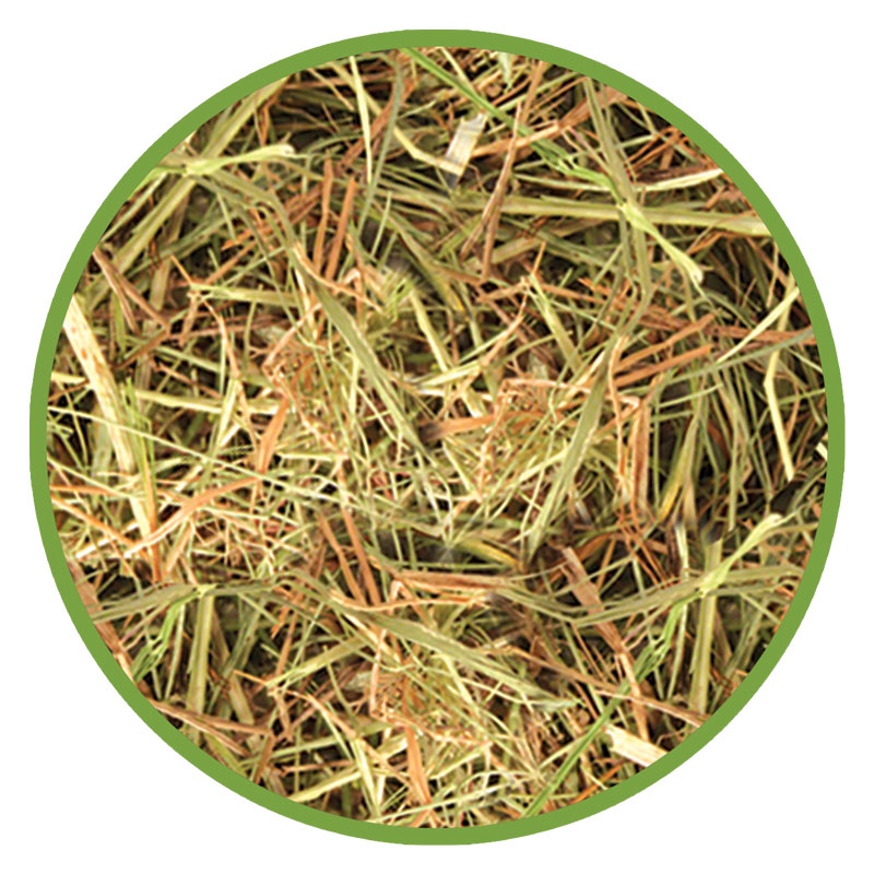 Сено Triol луговое для грызунов и кроликов 15л