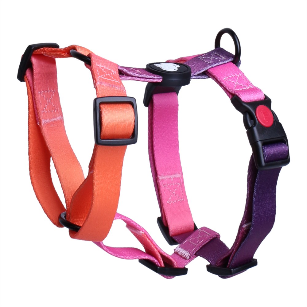 Шлейка LionPets LP23-7 (Размер М обхват груди 36-56 см, шея 31-47 см)