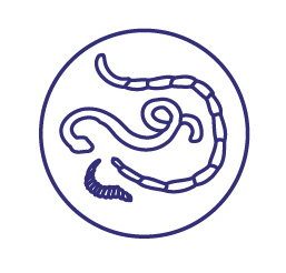 Препарат противопаразитный для кошек Астрафарм Празител 2таблетки