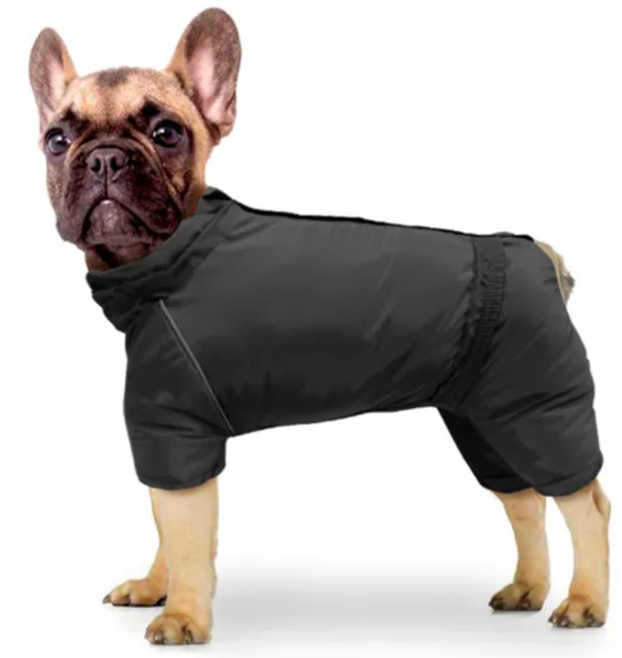 Зимний комбинезон ZooTREND размер №6 (француз),цвет в ассортименте