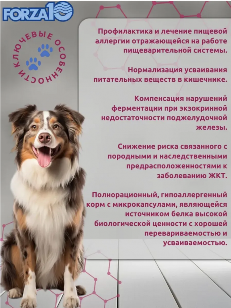Корм Форза 10 ВЕТ РАЗВЕС Интестинал для собак 1 кг