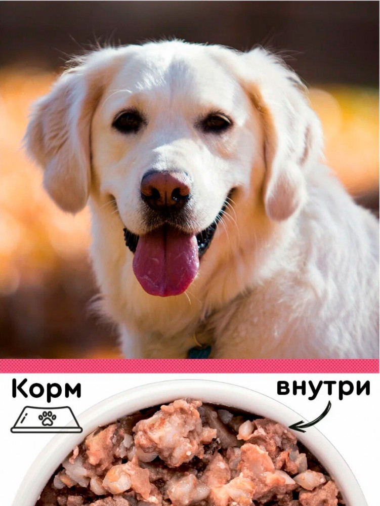 Консервы Вкусмясина для собак говядина с гречкой 850 г: ПАШТЕТ